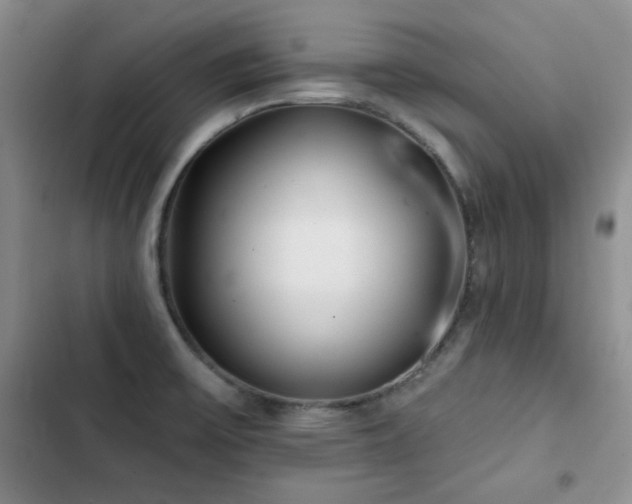 X0000102791475200808181248