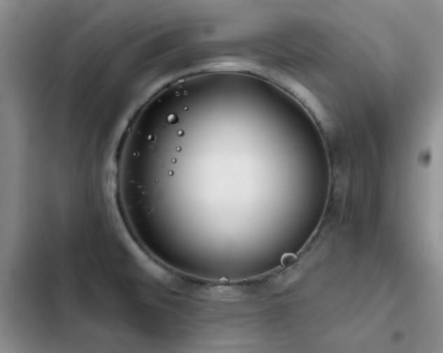 X0000102791476200808181248