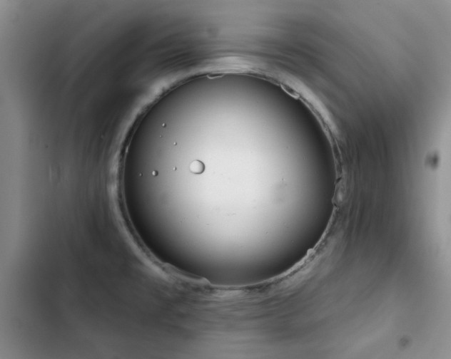 X0000102791477200808181248