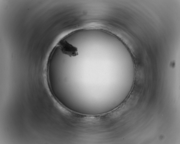 X0000102791478200808181248