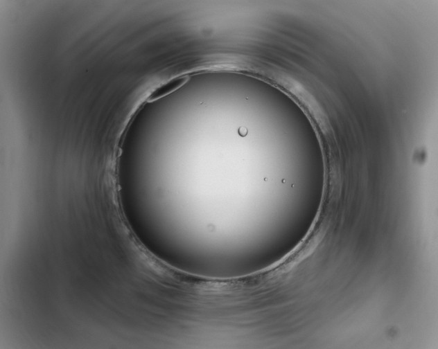 X0000102791481200808181248