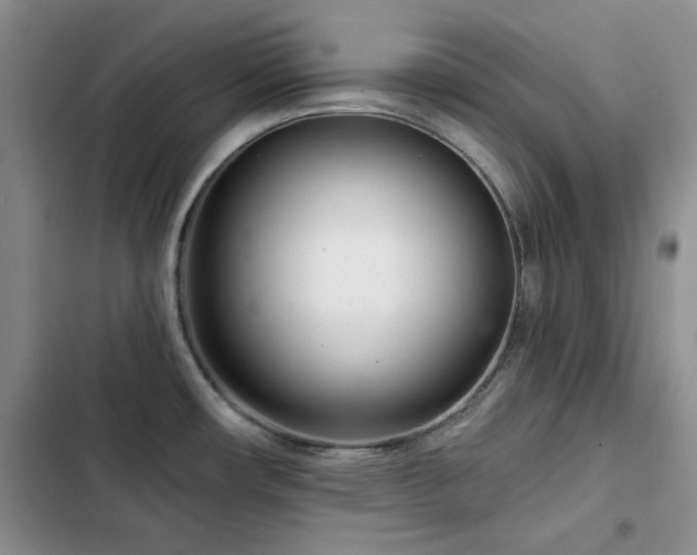 X0000102791482200808181247