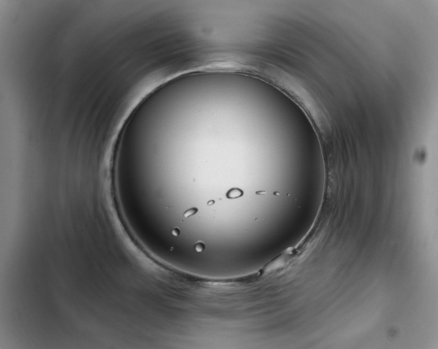 X0000102791483200808181247