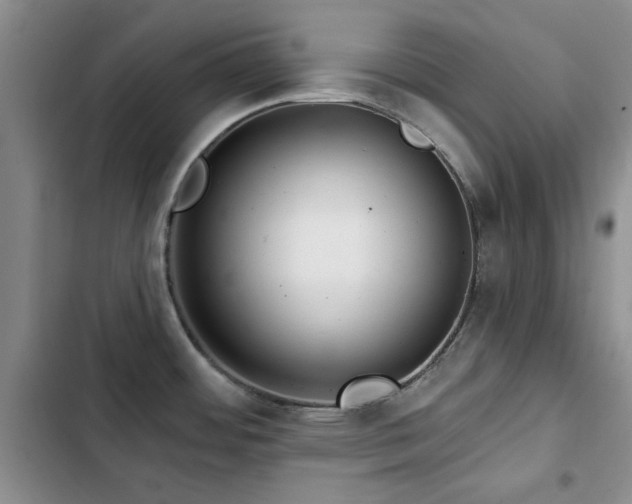 X0000102791484200808181247