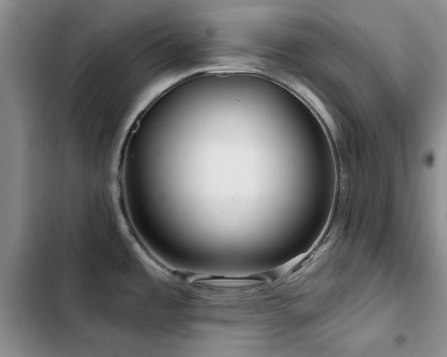 X0000102791485200808181247