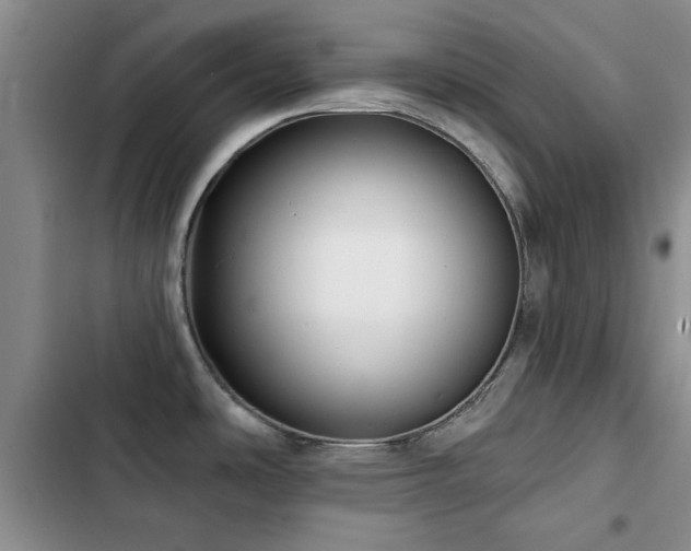 X0000102791486200808181247
