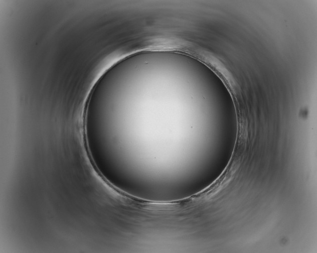X0000102791487200808181247