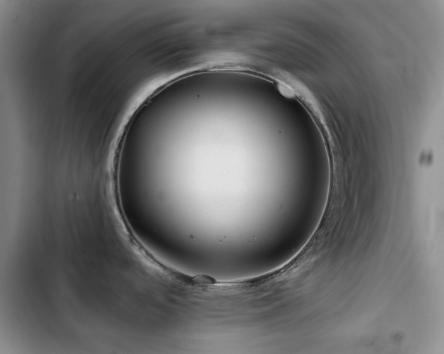 X0000102791488200808181247