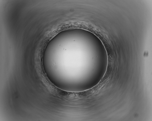X0000102791489200808181247