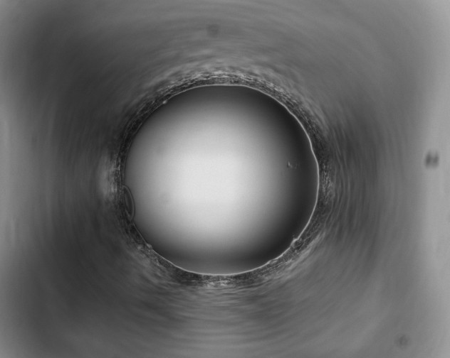 X0000102791490200808181247