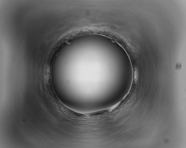 X0000102791492200808181247
