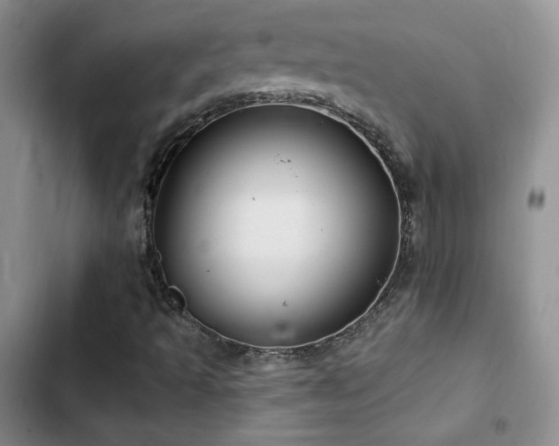 X0000102791493200808181247