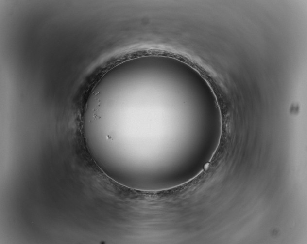 X0000102791495200808181247