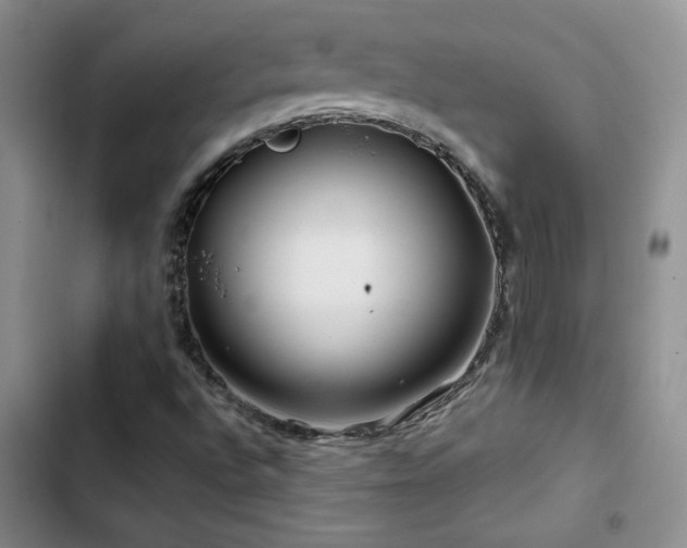 X0000102791496200808181247