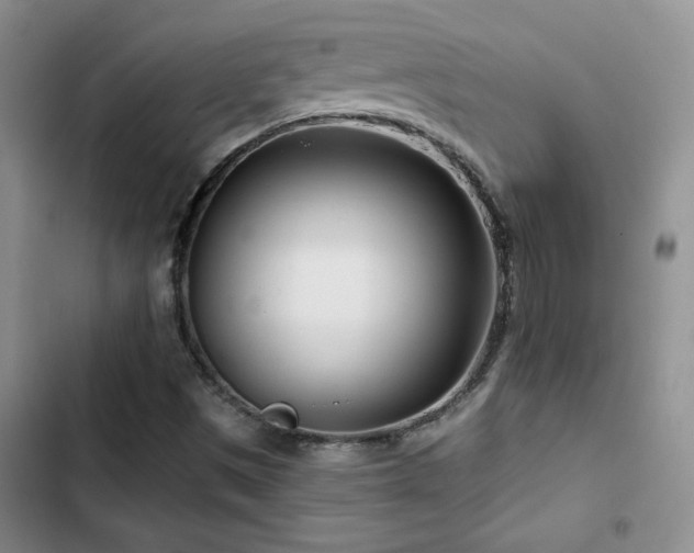 X0000102791497200808181247