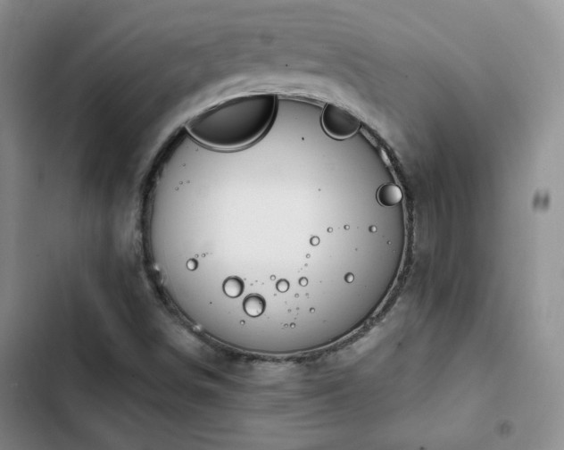 X0000102791498200808181247
