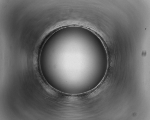 X0000102791499200808181247