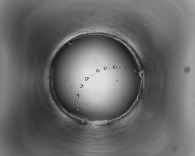 X0000102791500200808181247
