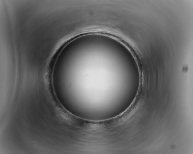 X0000102791501200808181247