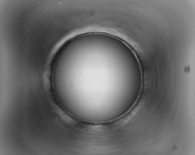 X0000102791502200808181247