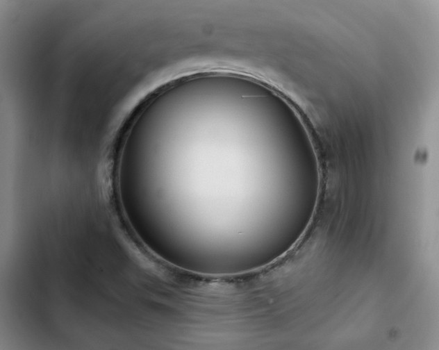 X0000102791503200808181247