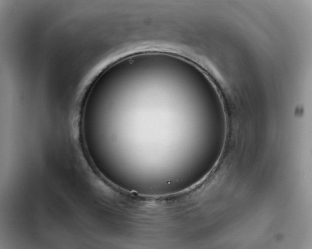 X0000102791504200808181247