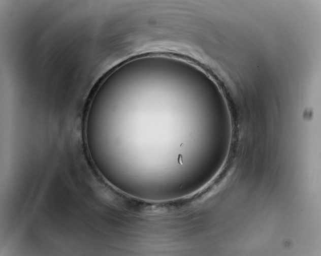 X0000102791505200808181247