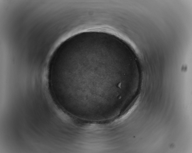 X0000102791506200808181247