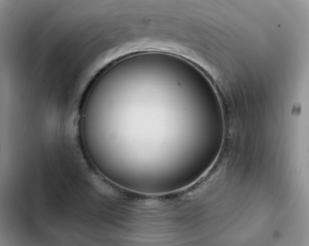 X0000102791507200808181247