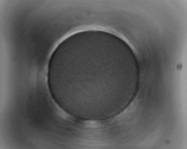 X0000102791508200808181247