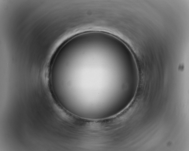 X0000102791511200808181247