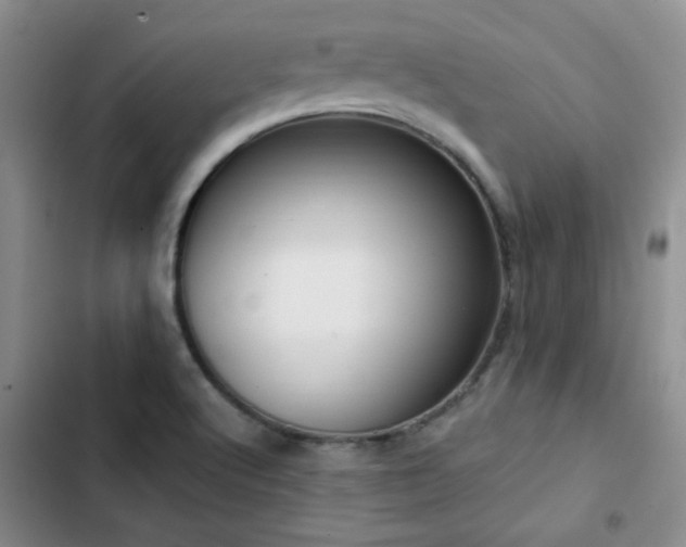 X0000102791512200808181247