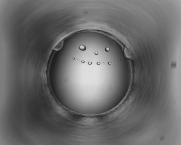 X0000102791513200808181247