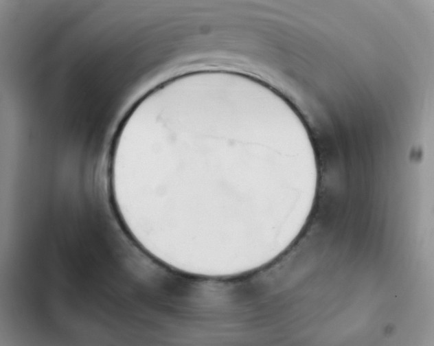 X0000102791514200808181247