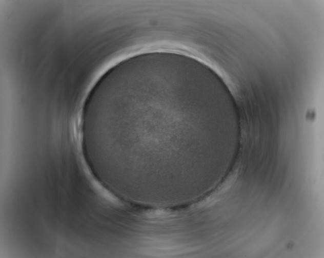 X0000102791515200808181247