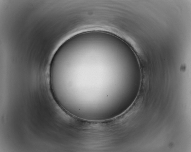 X0000102791516200808181247