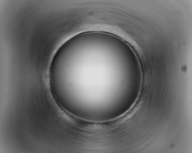 X0000102791517200808181247