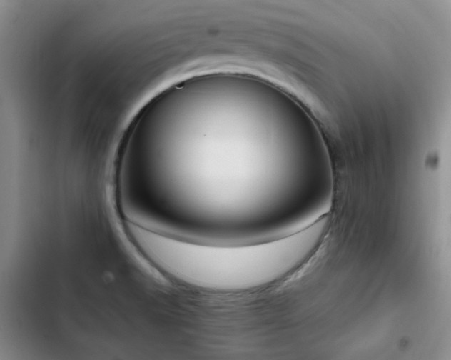 X0000102791518200808181247