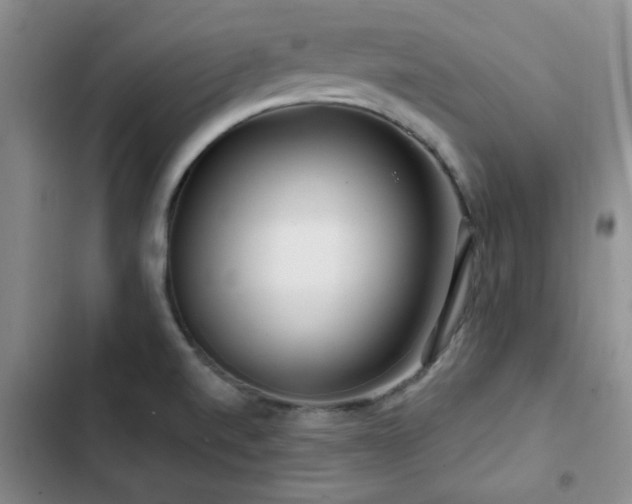X0000102791520200808181247