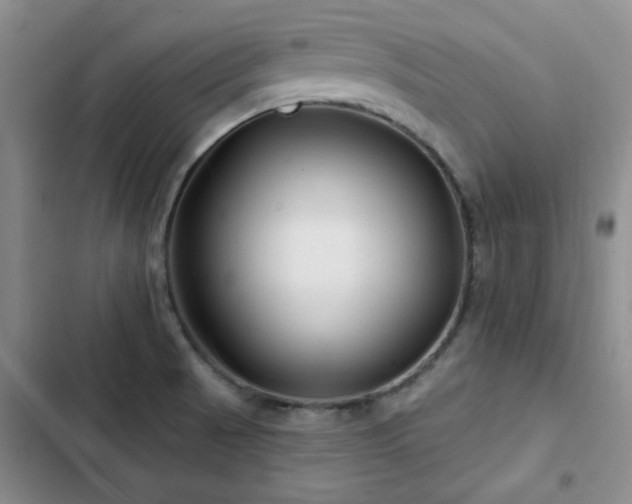 X0000102791521200808181247