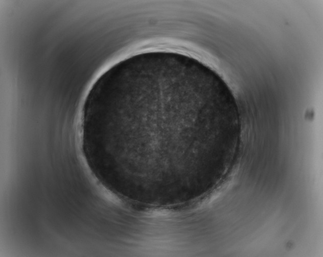 X0000102791522200808181247