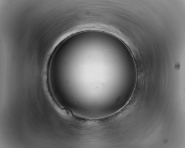 X0000102791523200808181247