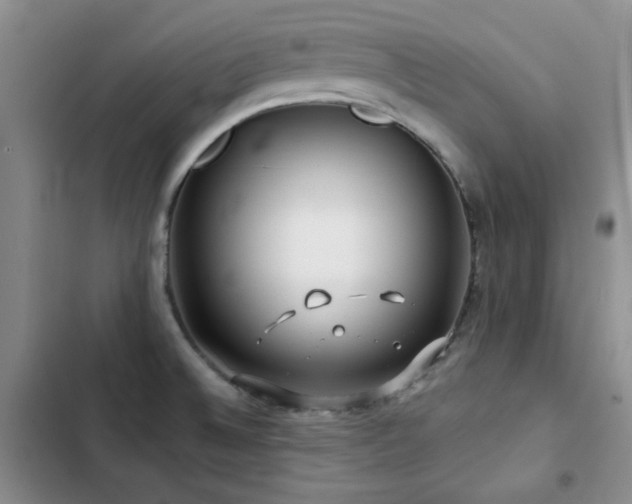 X0000102791524200808181247