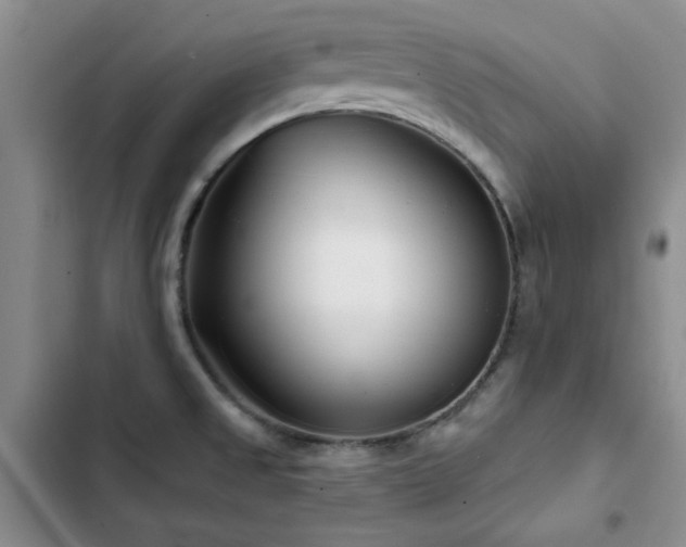 X0000102791525200808181247