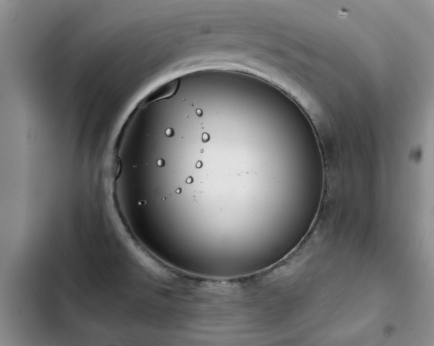 X0000102791526200808181247