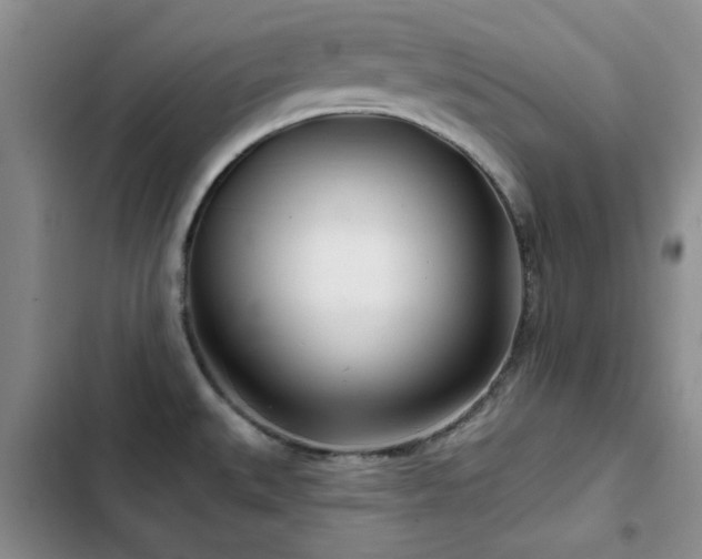 X0000102791527200808181247