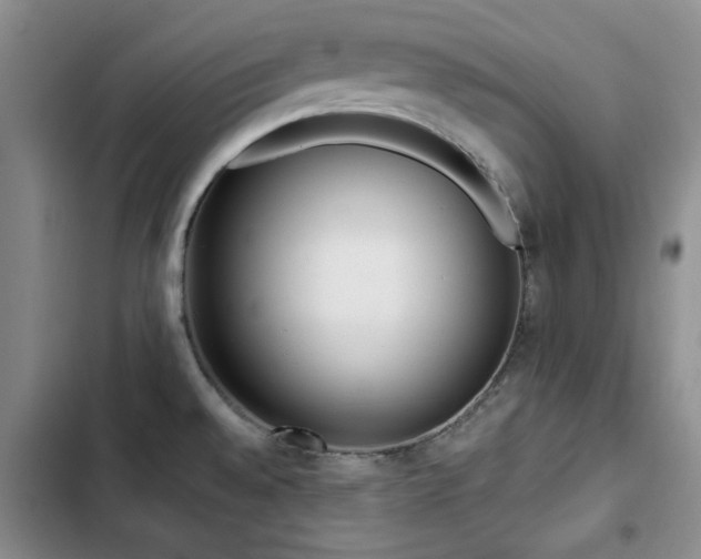 X0000102791528200808181247