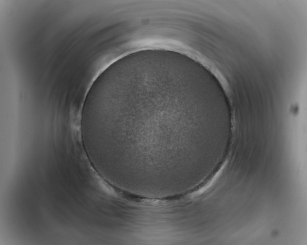 X0000102791529200808181247