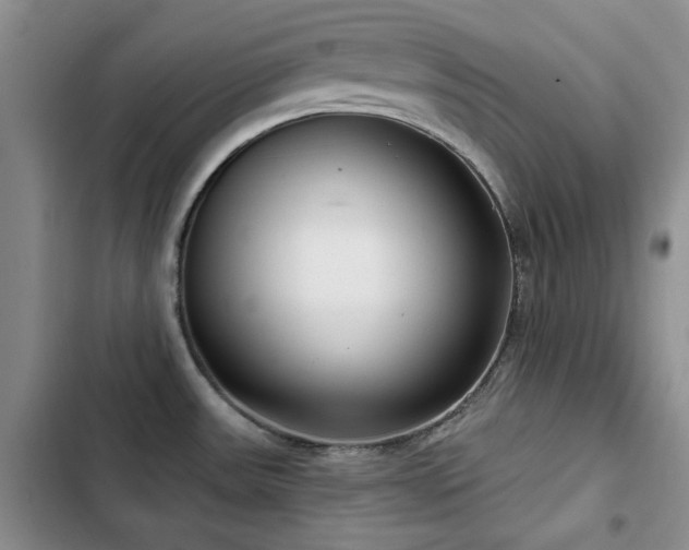 X0000102791531200808181247