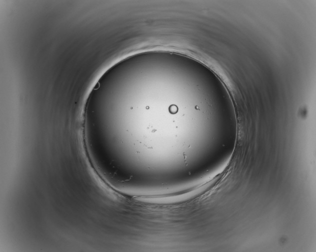 X0000102791532200808181247